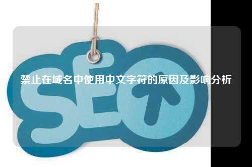 禁止在域名中使用中文字符的原因及影响分析