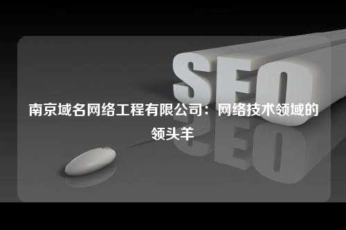 南京域名网络工程有限公司：网络技术领域的领头羊